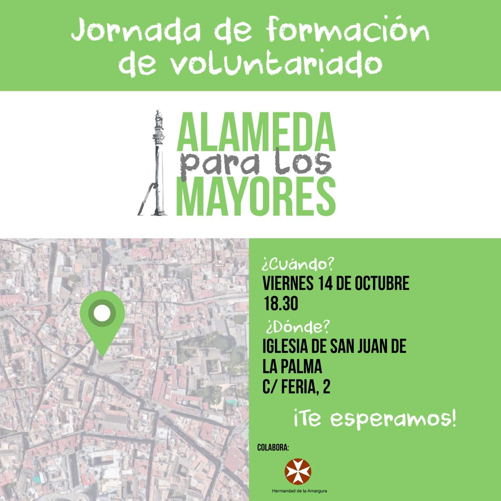 Voluntarios Alameda para los Mayores